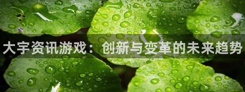优贝娱乐线路测试：大宇资讯游戏：创新与变革的未来趋势
