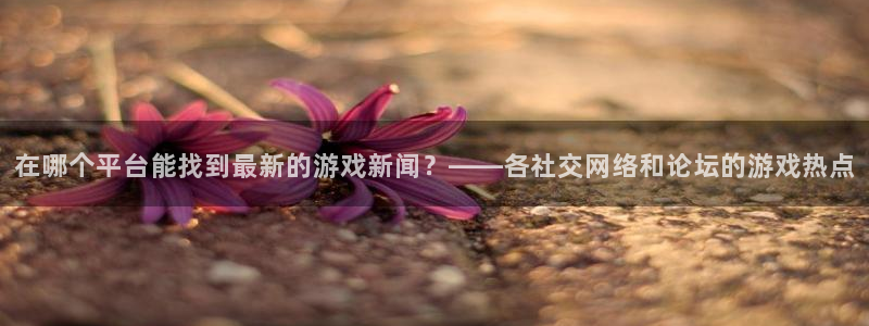 优贝娱乐注册账号：在哪个平台能找到最新的游戏新闻？——各社交