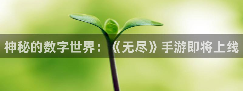 优贝娱乐注册网站：神秘的数字世界：《无尽》手游即将上线