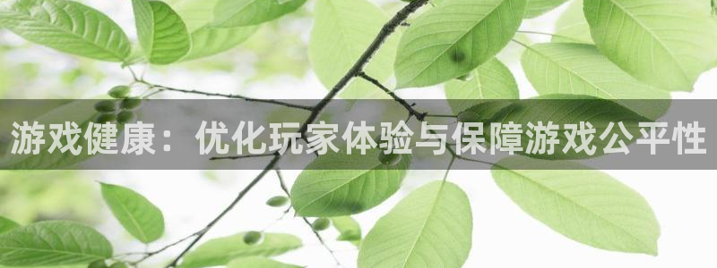 优贝娱乐是什么：游戏健康：优化玩家体验与保障游戏公平性