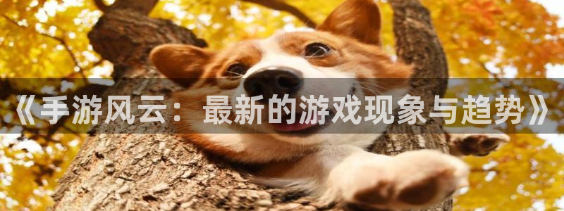 优贝娱乐的意思：《手游风云：最新的游戏现象与趋势》