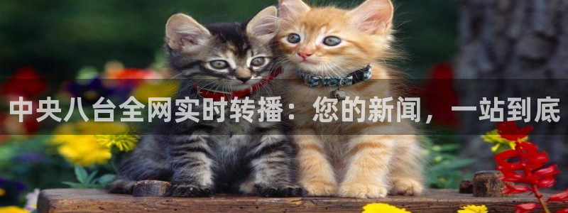劲爆体育在线直播免费观看：中央八台全网实时转播：您的新闻，一站到底