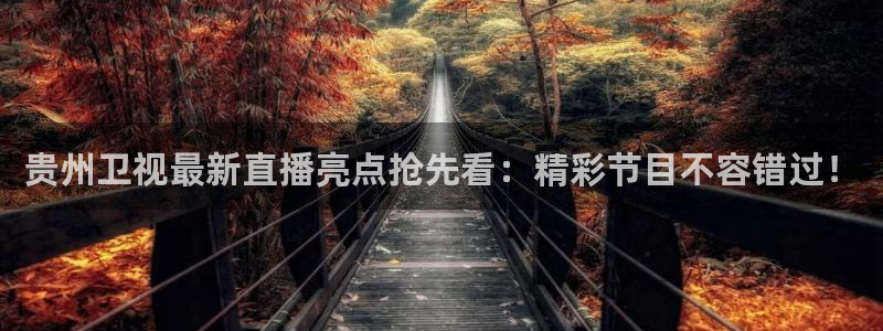 劲爆体育频道直播表：贵州卫视最新直播亮点抢先看：精彩节目不容错过！