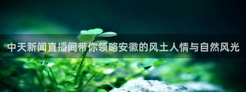 劲爆体育在线直播