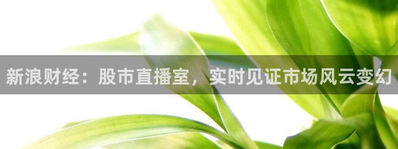 劲爆体育上海直播