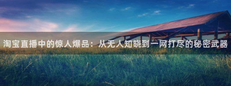 下载劲爆体育nba直播：淘宝直播中的惊人爆品：从无人知晓到一网打尽的秘密武器